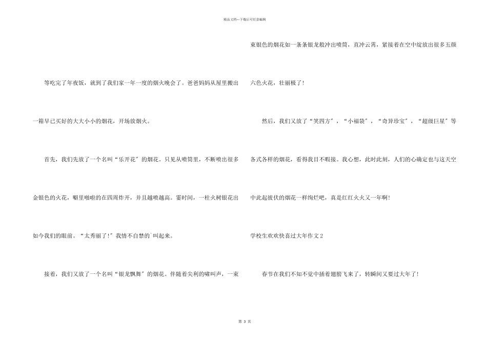 小学生欢欢喜喜过大年_第2页