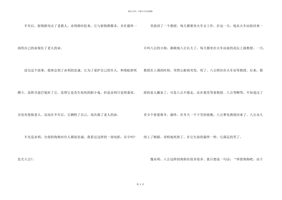 小学生第七条猎狗读后感500字8篇_第3页