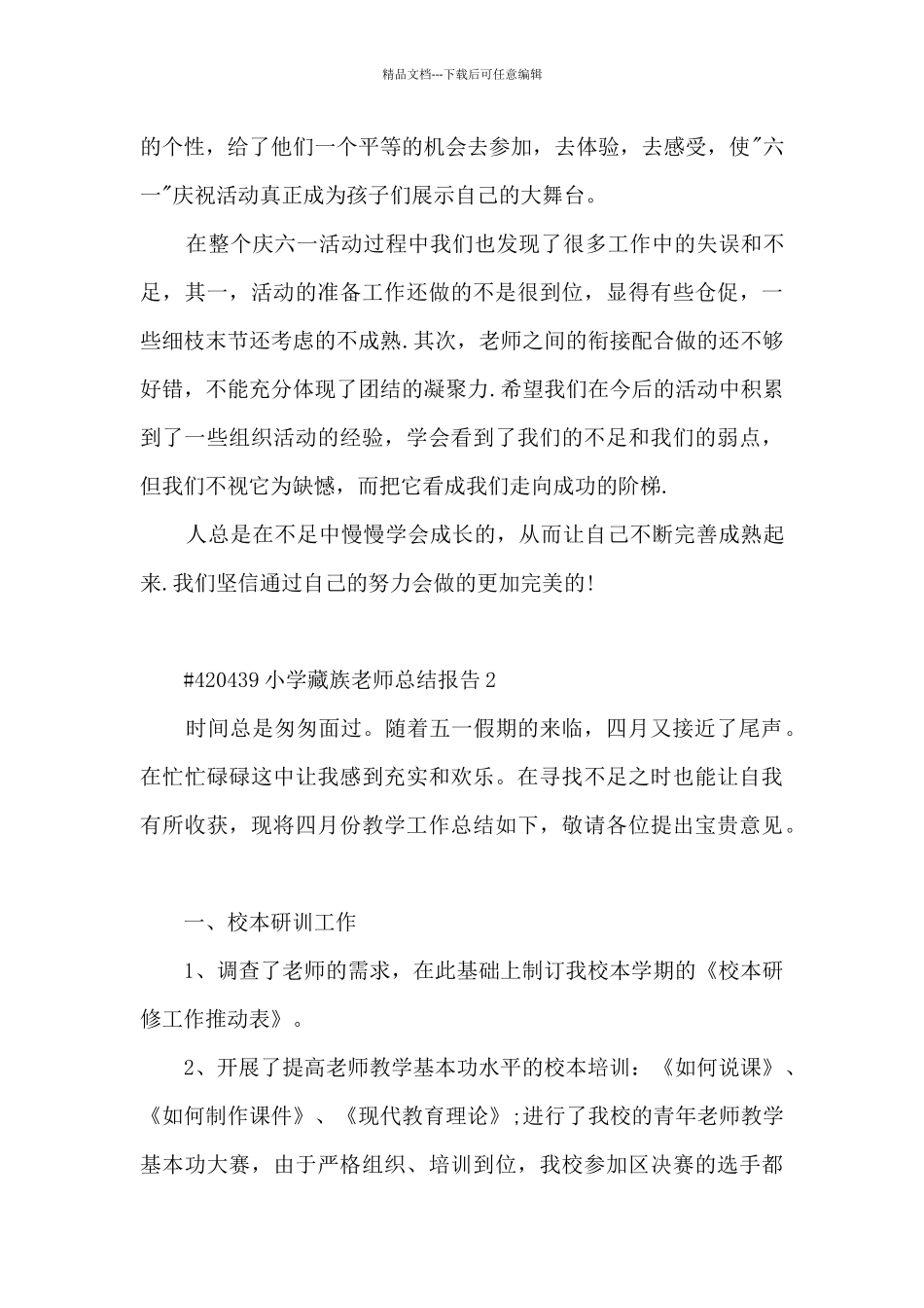 小学藏族教师总结报告5篇范文_第3页