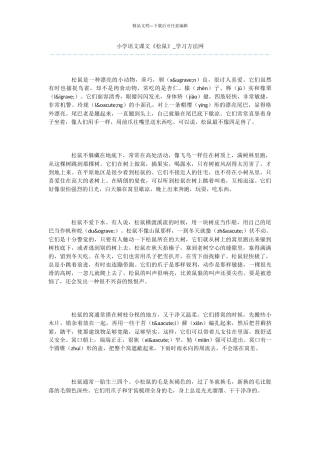 小学语文课文《松鼠》
