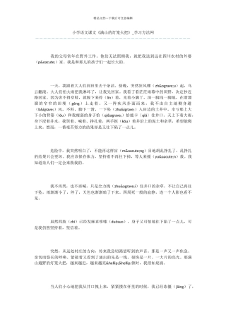 小学语文课文《满山的灯笼火把》