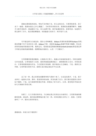 小学语文课文《美丽的眼睛》