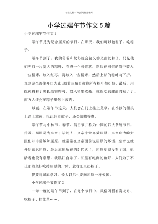 小学过端午节作文5篇