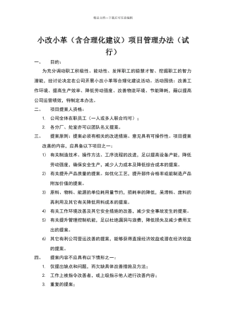 小改小革项目管理办法