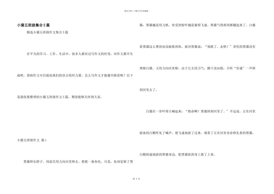 小猫五年级集合5篇_第1页