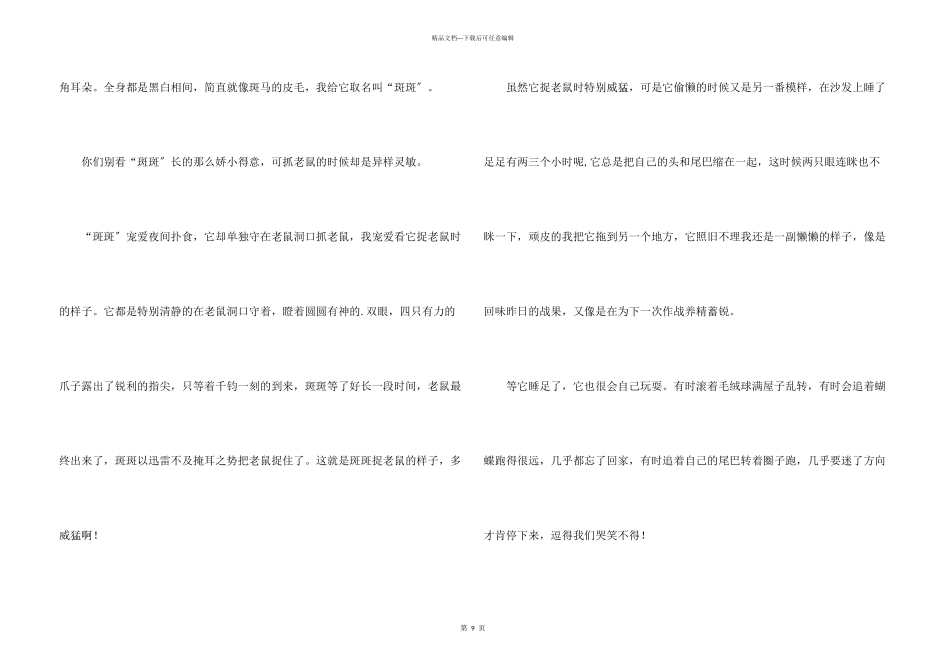 小猫五年级集锦10篇_第3页