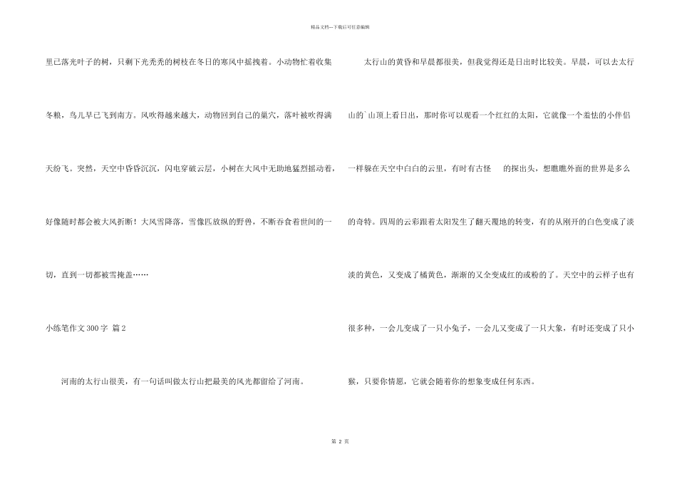小练笔300字四篇_第2页