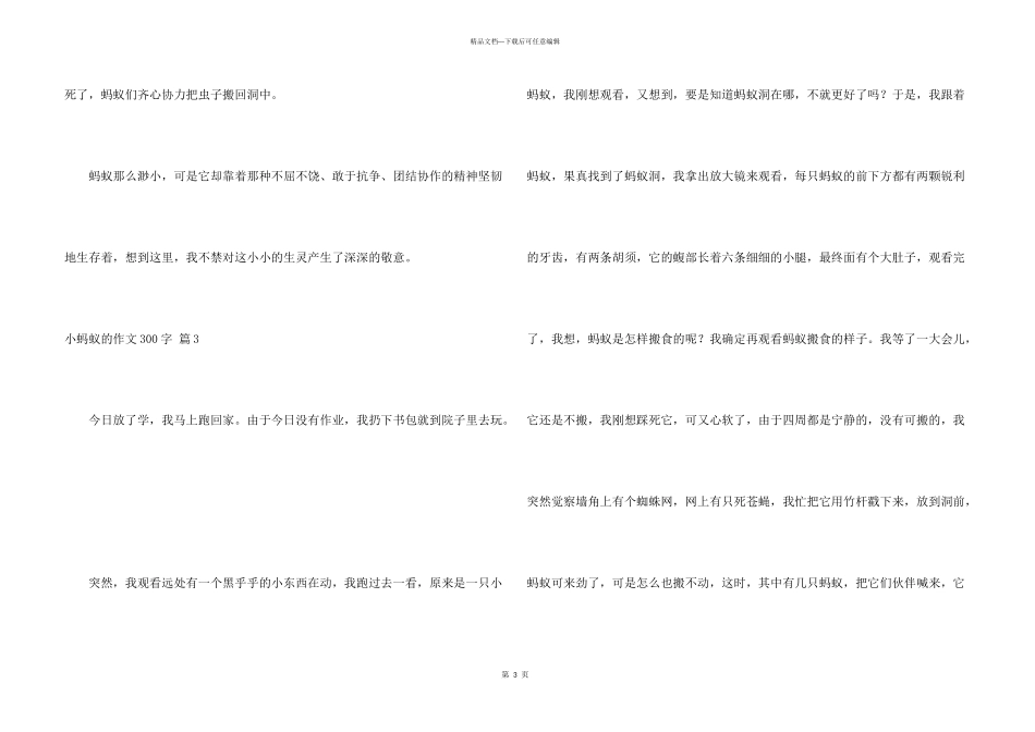 小蚂蚁的300字五篇_第3页