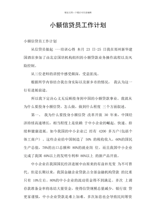 小额信贷员工作计划