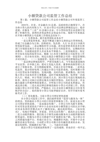 小额贷款公司监管工作总结