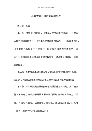 小额贷款公司信贷管理文件