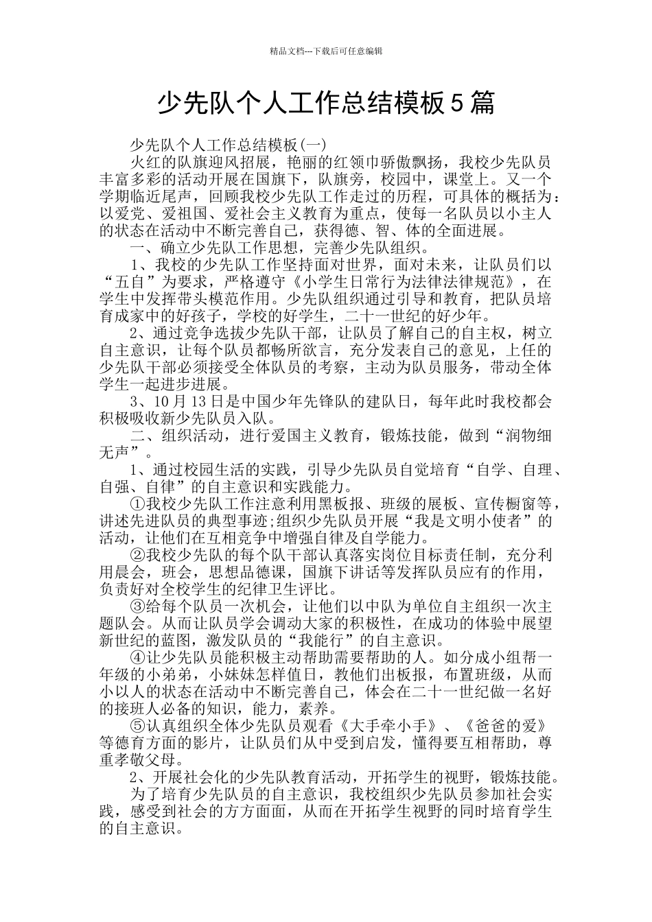 少先队个人工作总结模板5篇_第1页