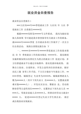 就业资金自查报告