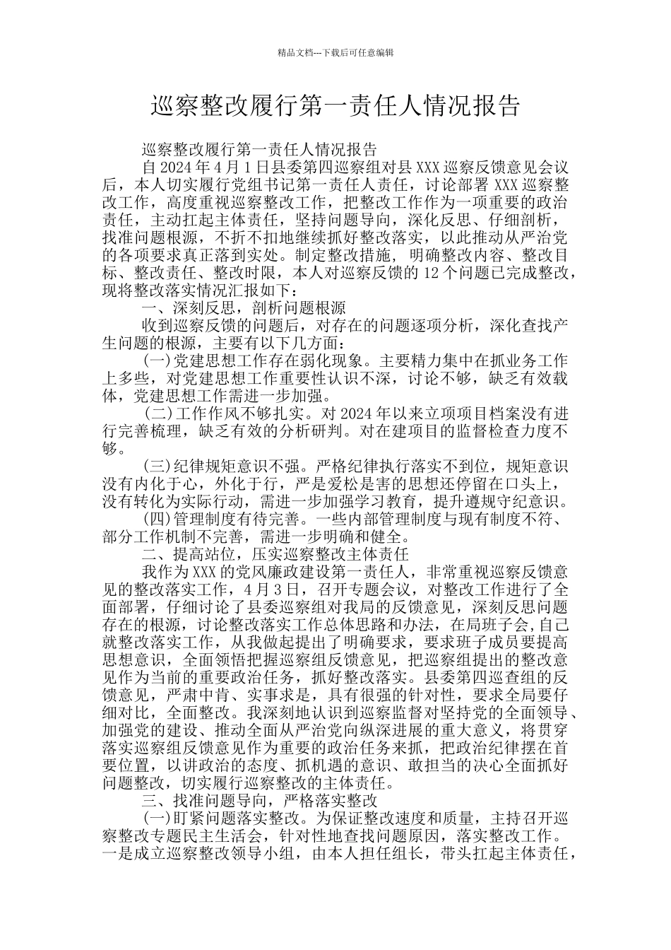 巡察整改履行第一责任人情况报告_第1页