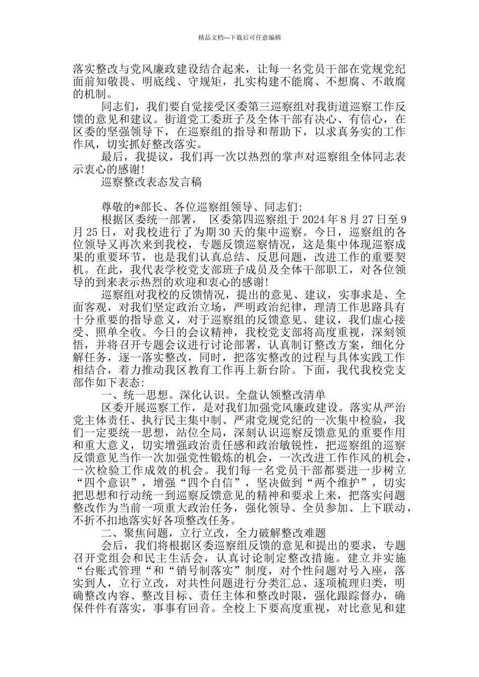 巡察整改表态发言稿_第2页