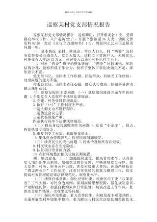 巡察某村党支部情况报告