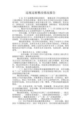 巡视巡察整改情况报告