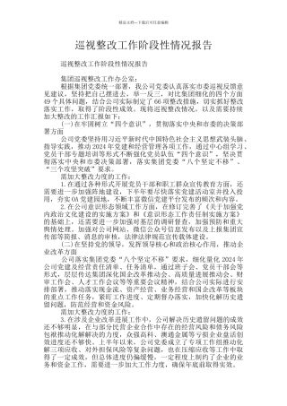 巡视整改工作阶段性情况报告