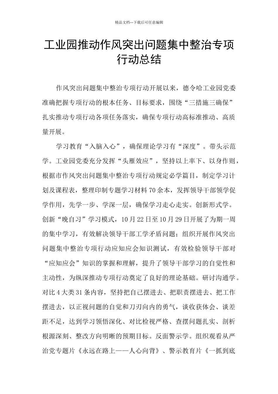 工业园推进作风突出问题集中整治专项行动总结_第1页