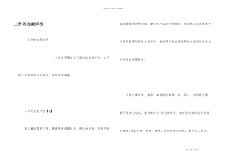 工作的自我评价
