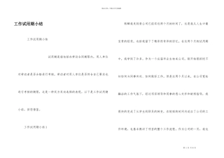 工作试用期小结