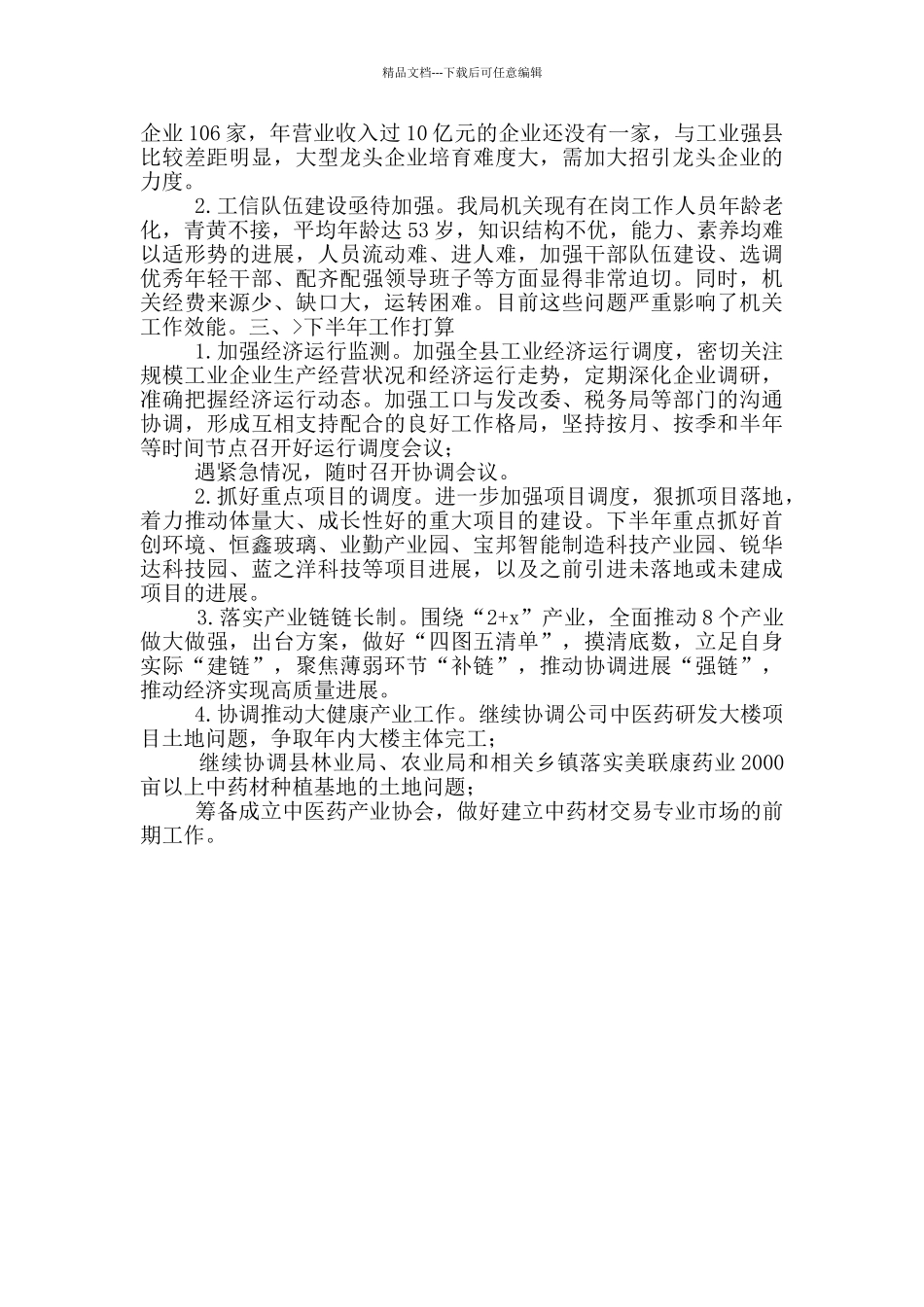 工信局上半年工作总结和下半年工作打算_第2页