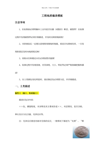 工程地质编录模板