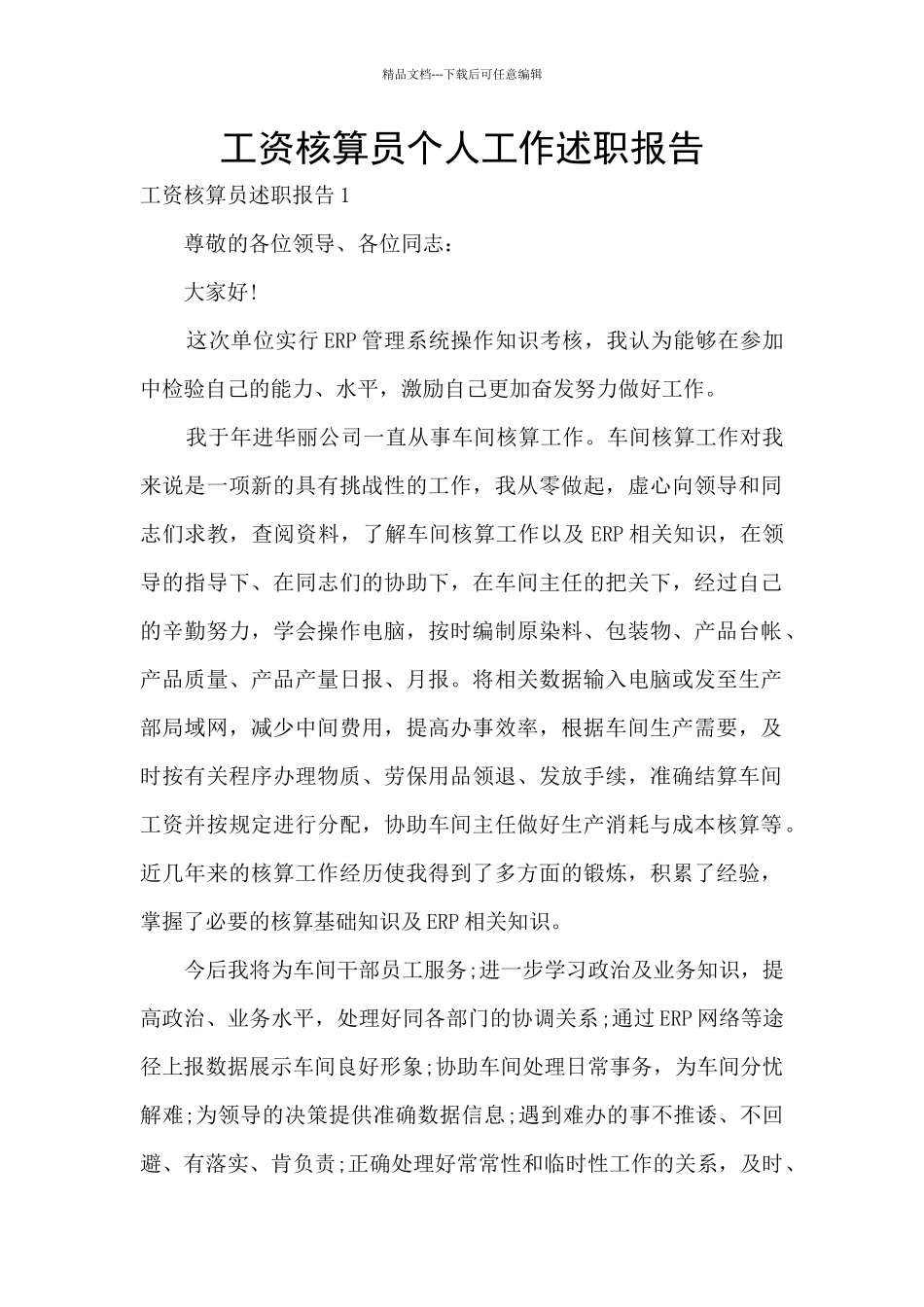 工资核算员个人工作述职报告_第1页