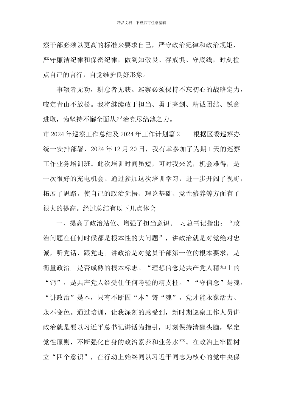 市2024年巡察工作总结及2024年工作计划3篇_第2页