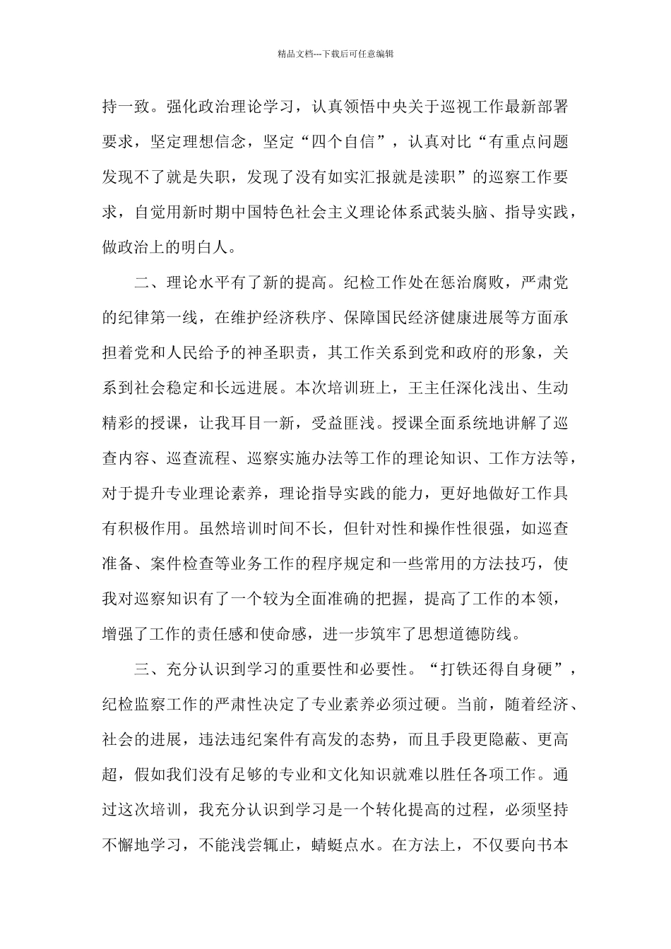 市2024年巡察工作总结及2024年工作计划3篇_第3页