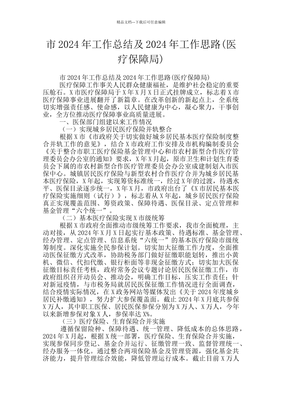 市2024年工作总结及2024年工作思路_第1页