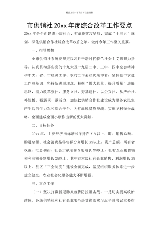 市供销社20xx年度综合改革工作要点