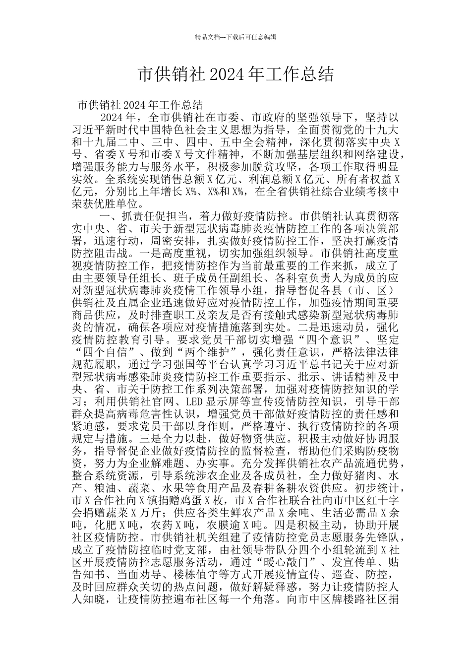 市供销社2024年工作总结_第1页