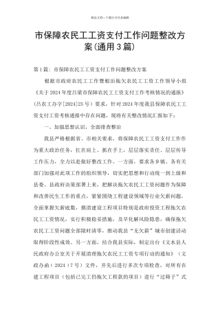 市保障农民工工资支付工作问题整改方案