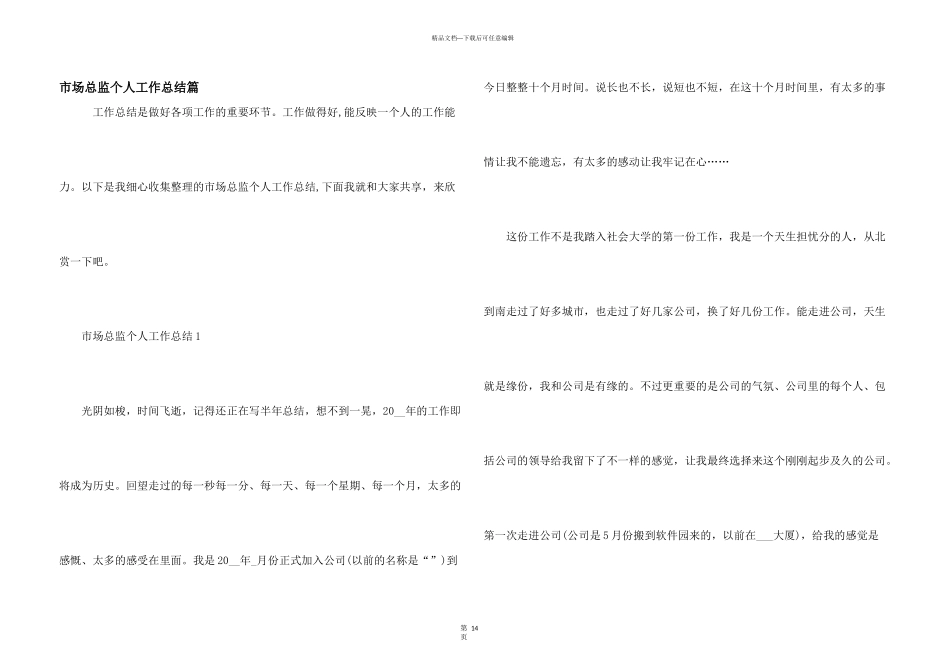 市场总监个人工作总结篇_第1页