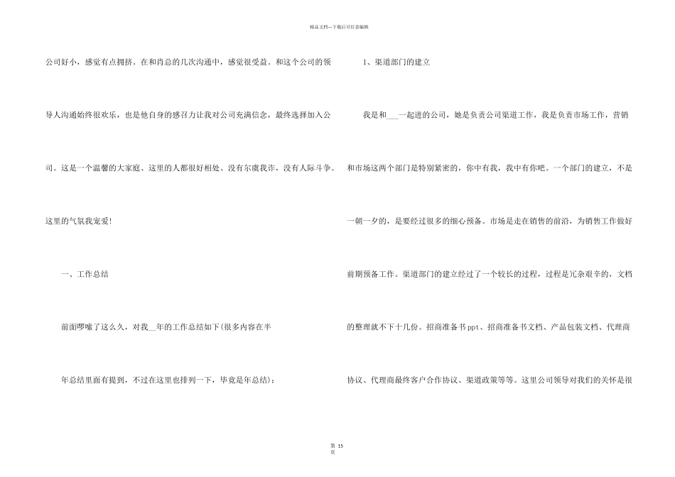 市场总监个人工作总结篇_第2页