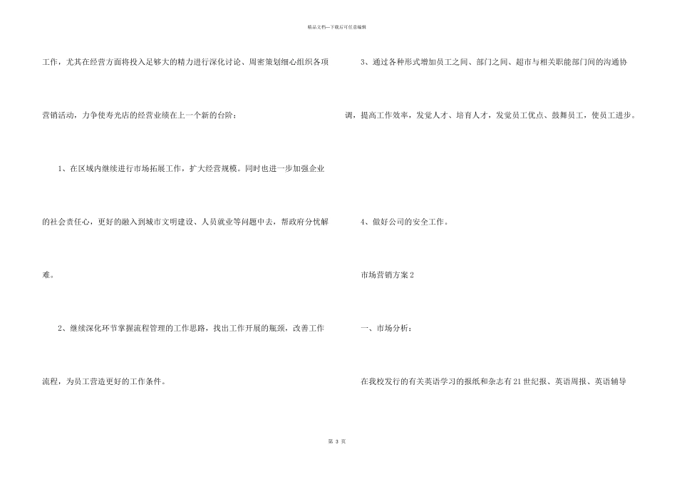 市场成功营销策划书_第3页