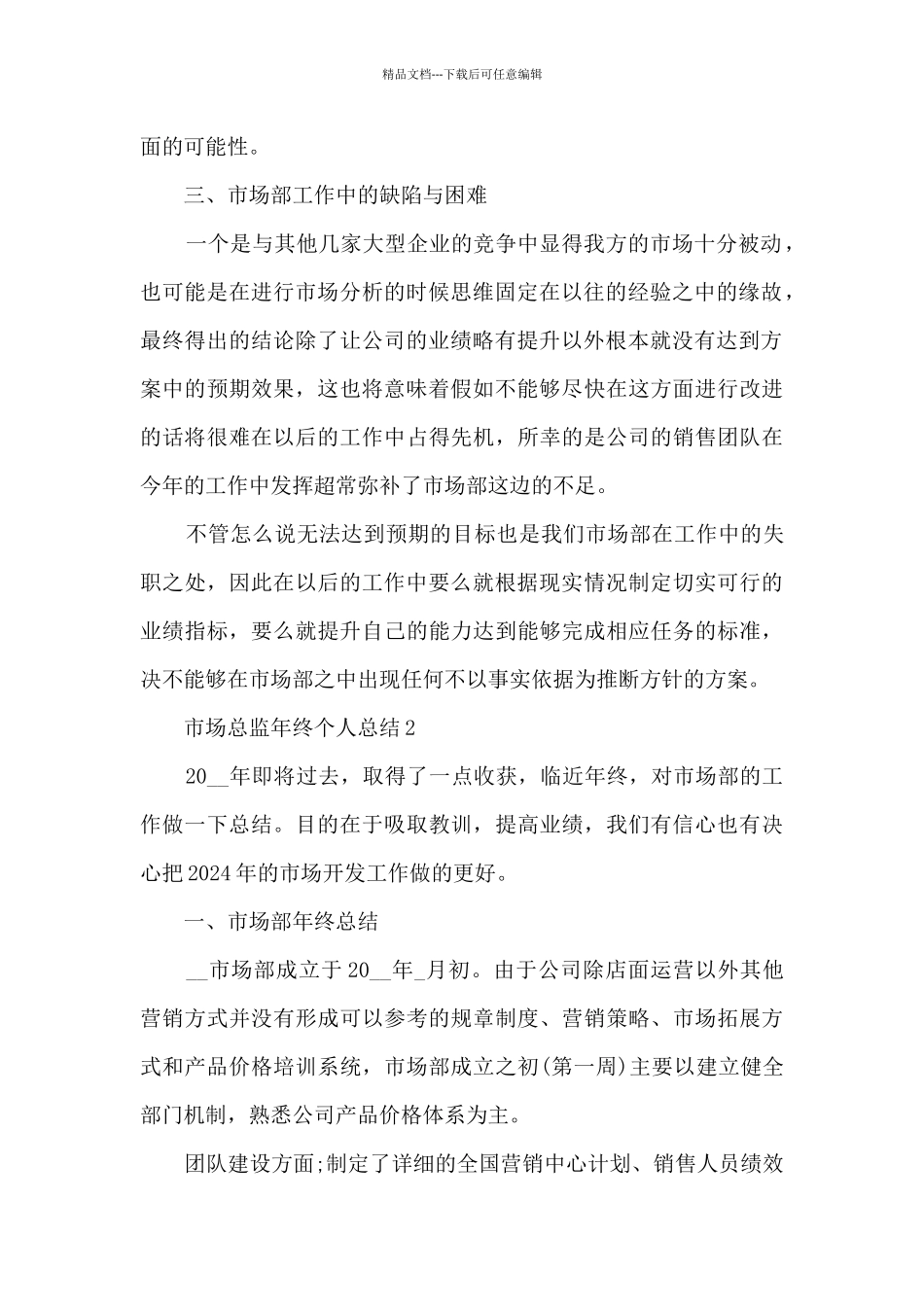 市场总监年终个人总结5篇_第2页
