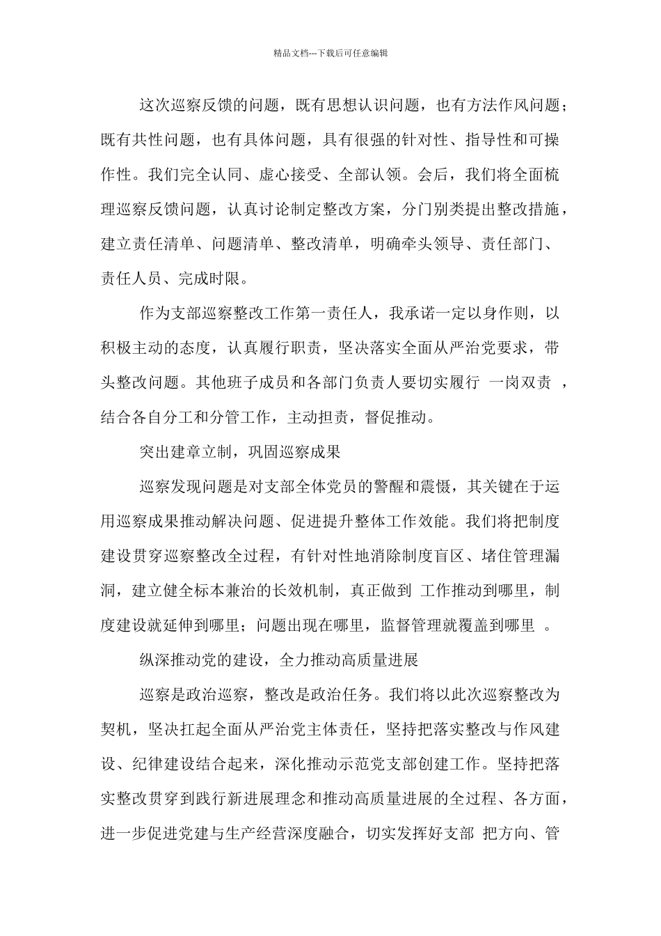 市委书记在2024年全市巡察反馈会议上的讲话范文_第2页