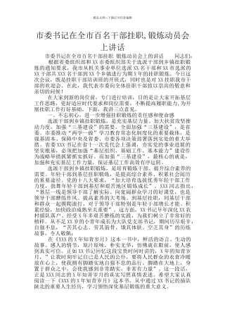 市委书记在全市百名干部挂职
