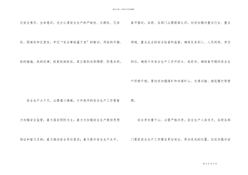 市安全生产第一次会议纪要_第3页