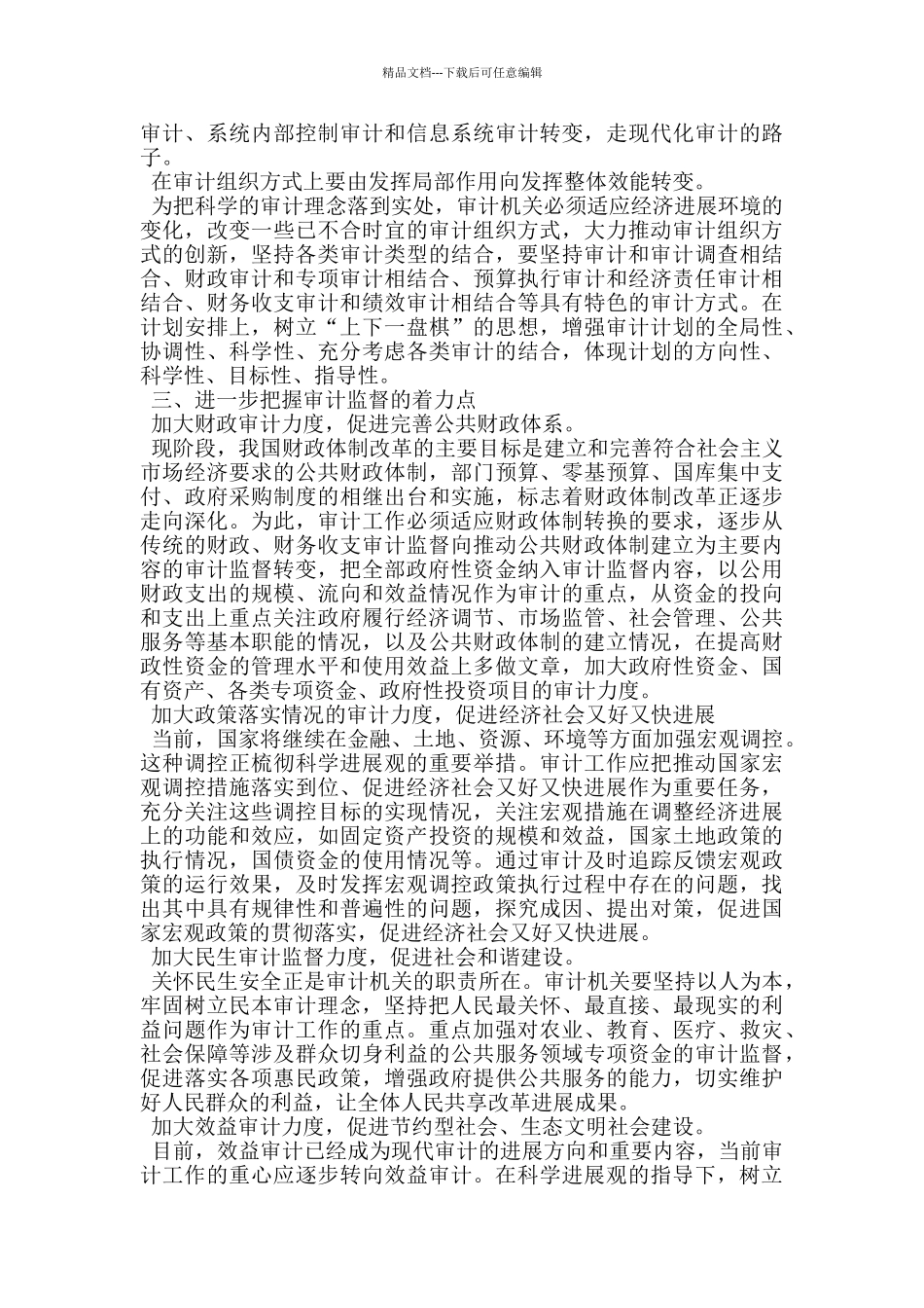 市审计工作务虚会发言_第3页