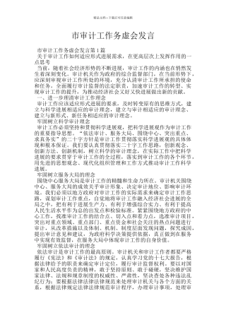 市审计工作务虚会发言