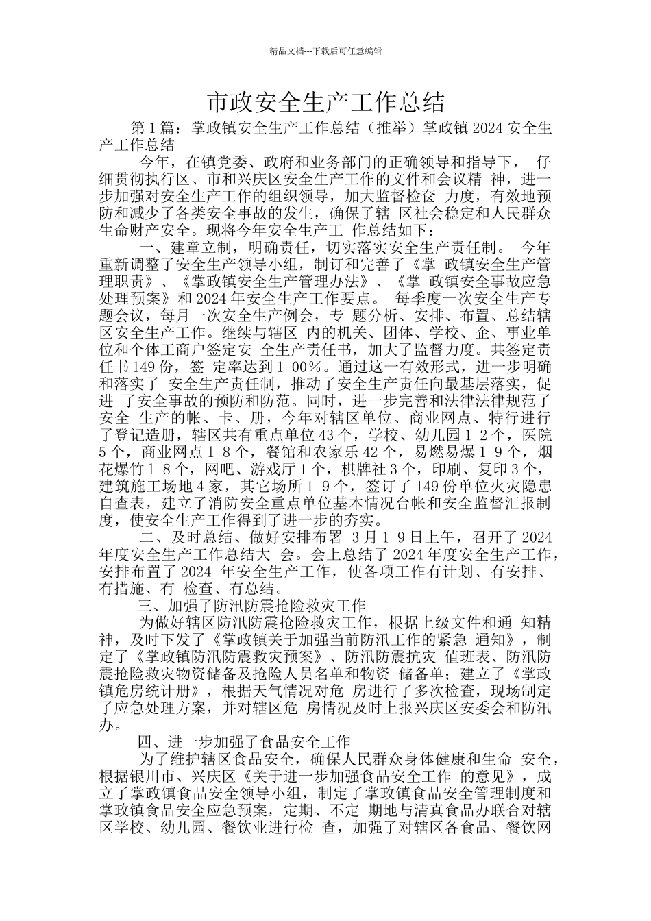 市政安全生产工作总结_第1页