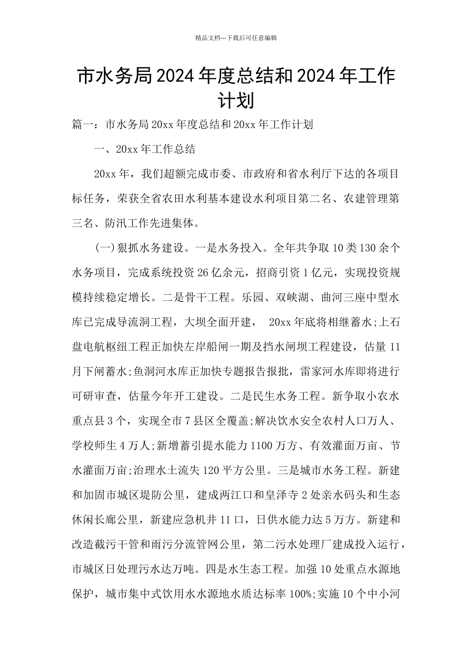 市水务局2024年度总结和2024年工作计划_第1页