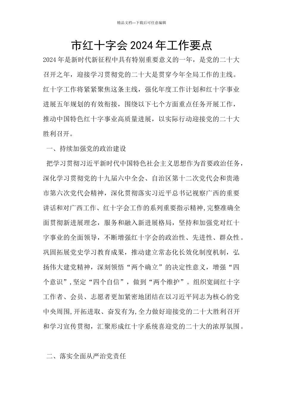 市红十字会2024年工作要点_第1页