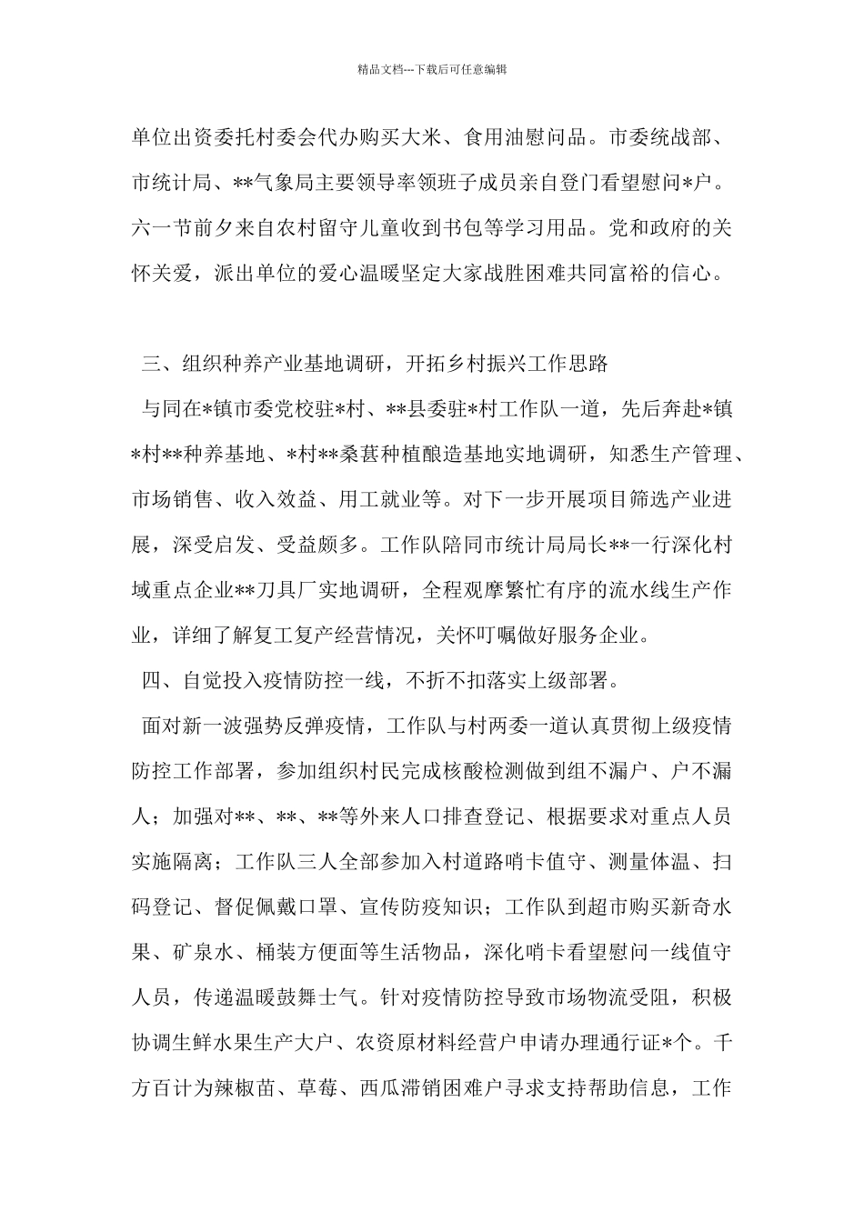 市统计局驻村工作队2024年上半年工作总结_第2页