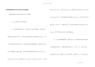 市规划资源分局2024年度工作总结报告