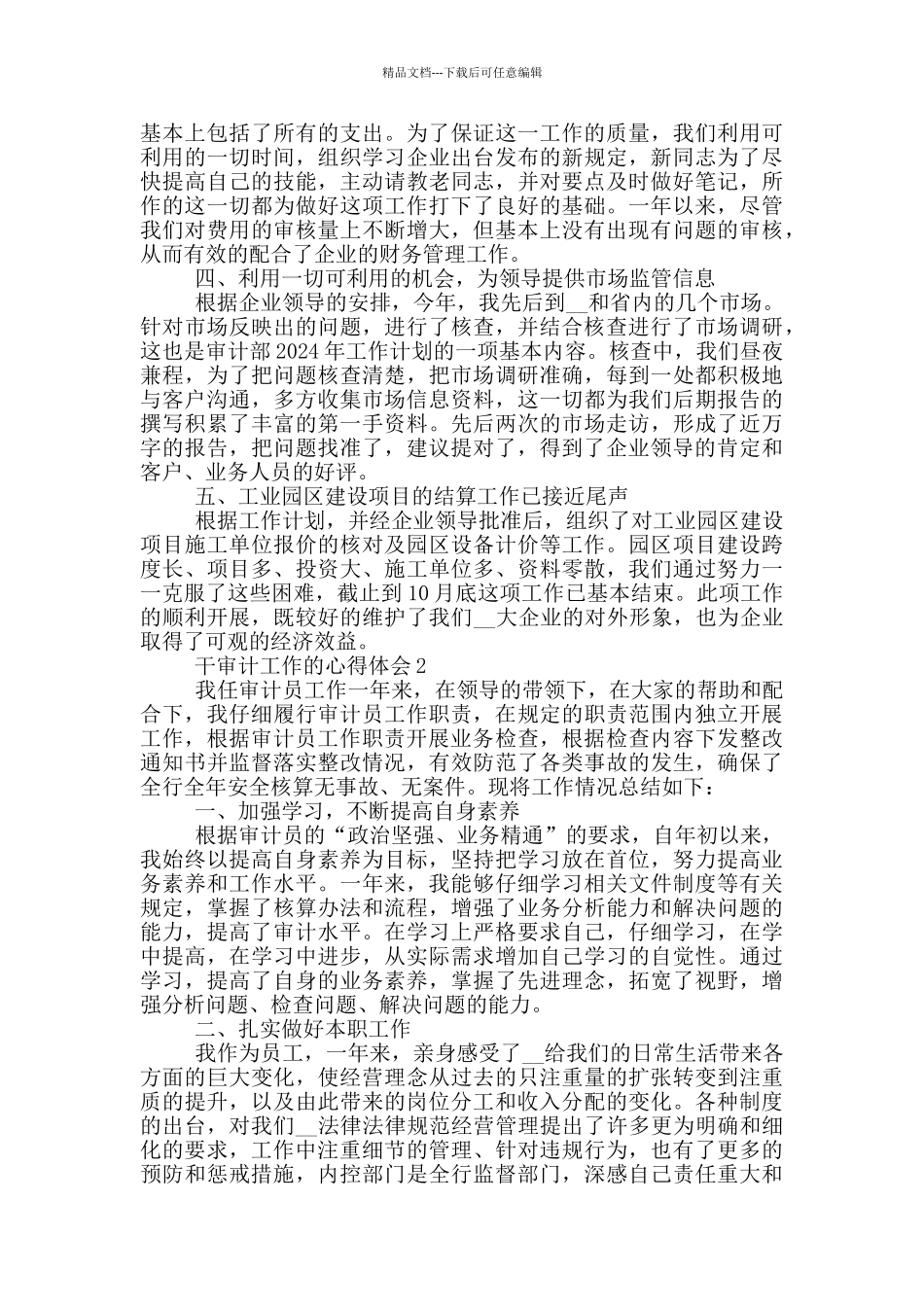 干审计工作的心得体会范文5篇_第2页