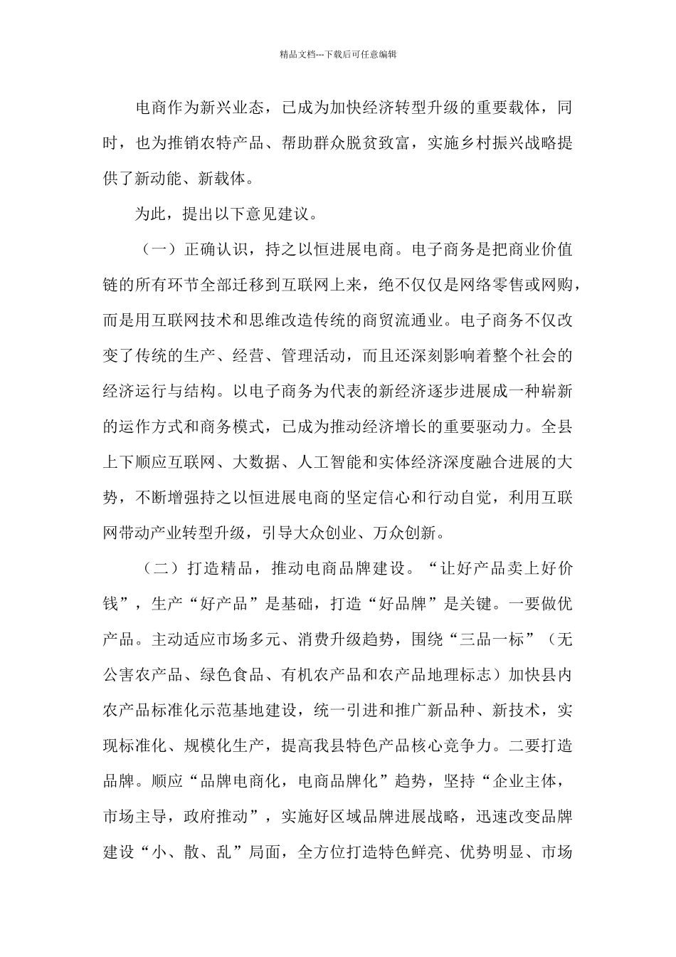 干部在2024年全县电子商务调研座谈会上的讲话范文_第3页